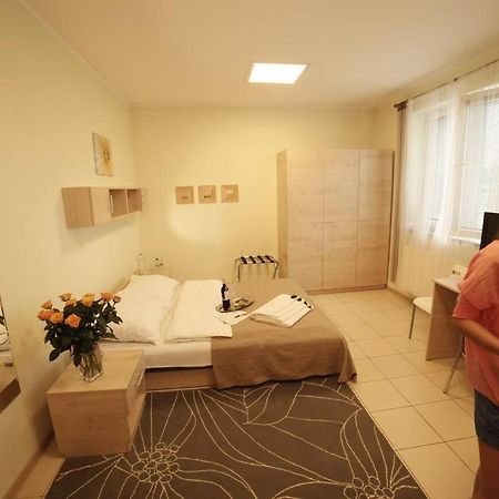 Standard Delegacyjny Bed & Breakfast Домброва-Гурнича Экстерьер фото