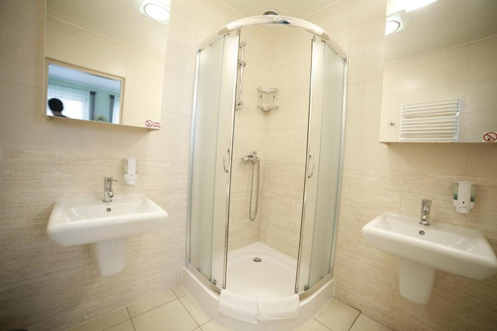 Standard Delegacyjny Bed & Breakfast Домброва-Гурнича Номер фото