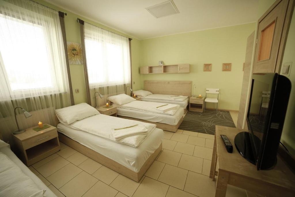 Standard Delegacyjny Bed & Breakfast Домброва-Гурнича Номер фото